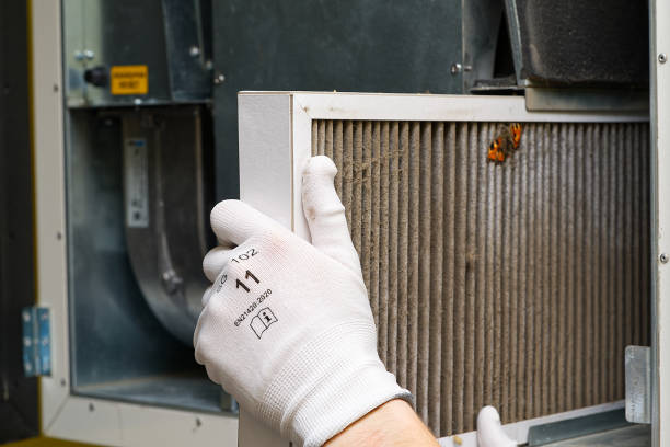 Best Air Duct Cleaning Near Me  in Holly Ridge, NC
