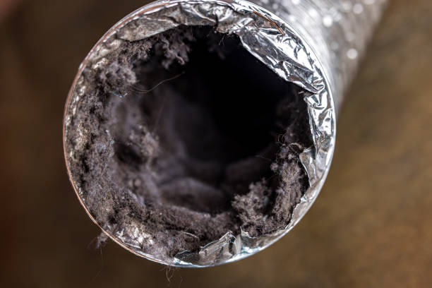 Best HVAC Duct Inspection Services  in Holly Ridge, NC